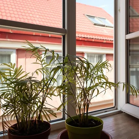 Daire Amazing Old Town *