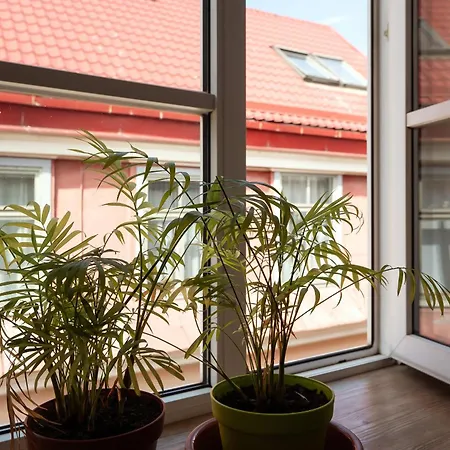 Apartamento Amazing Old Town *
