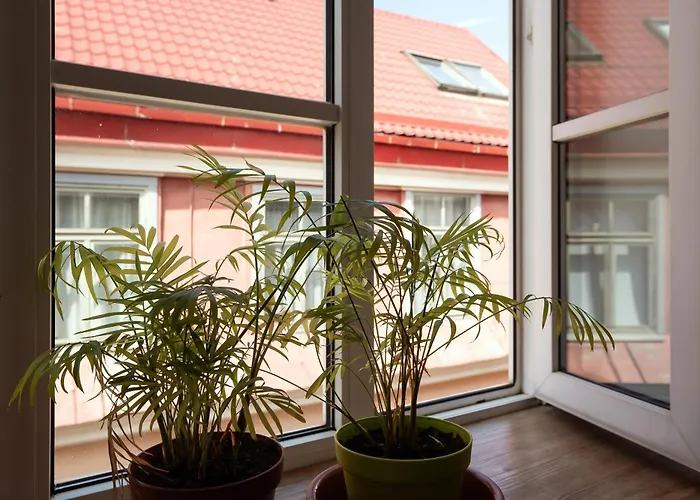 Διαμέρισμα Amazing Old Town *